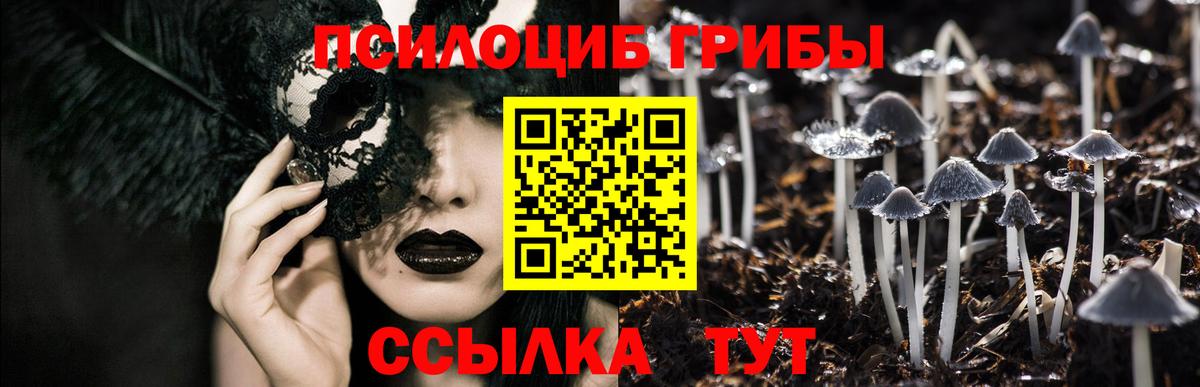 Черняховск  Псилоцибиновые грибы Magic Shrooms  Вход с VPN 