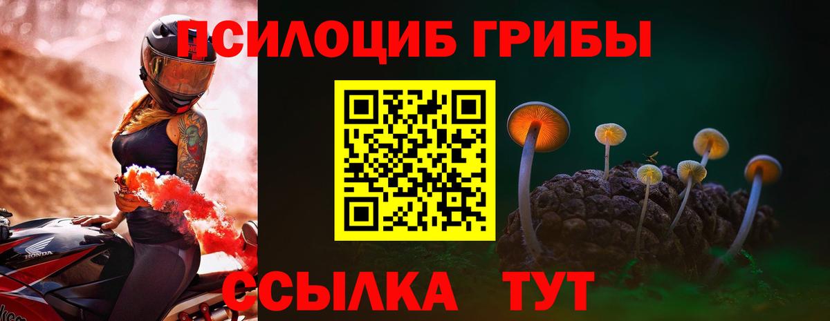 Галлюциногенные грибы прущие грибы Черняховск
